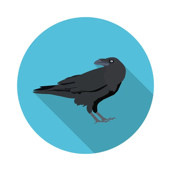 Icono plano Raven — Vector de stock