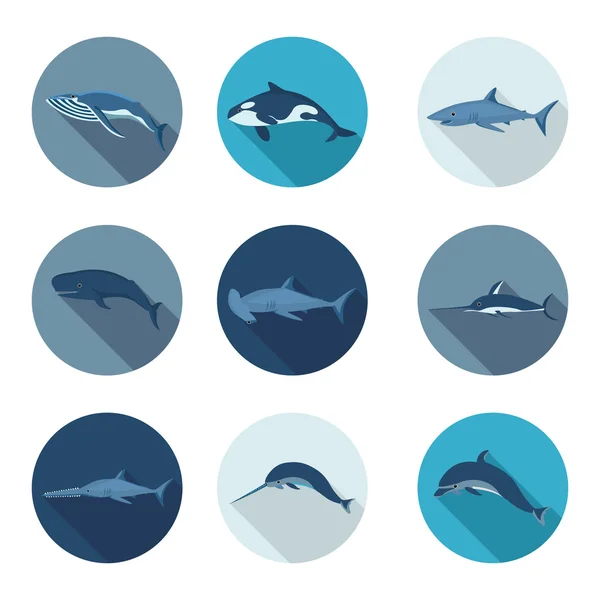 Baleias e ícones planos de peixes — Vetor de Stock