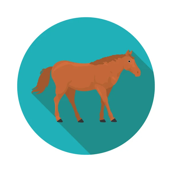 Piatto icone cavallo — Vettoriale Stock
