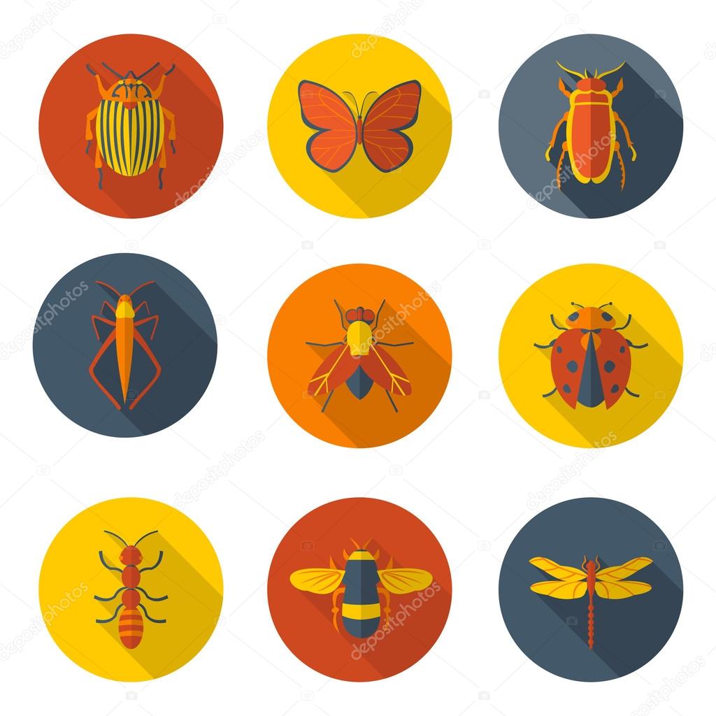 insects flat icons
