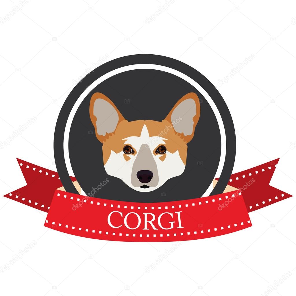 flat icon corgi