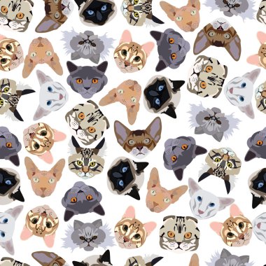 düz seamless modeli pedigree kedi