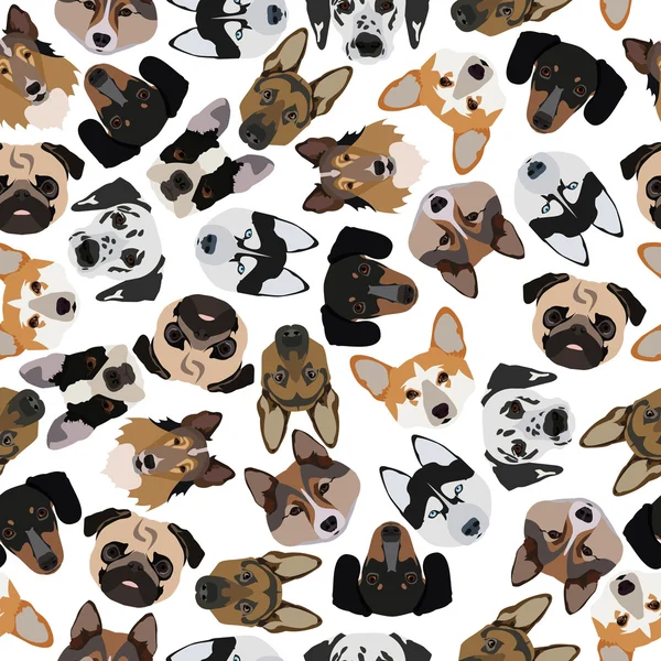 Flat seamless pattern pedigree dogs — 스톡 벡터