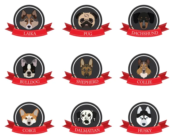 Ícones planos de cães pedigree com os nomes — Vetor de Stock