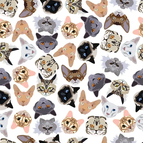 düz seamless modeli pedigree kedi