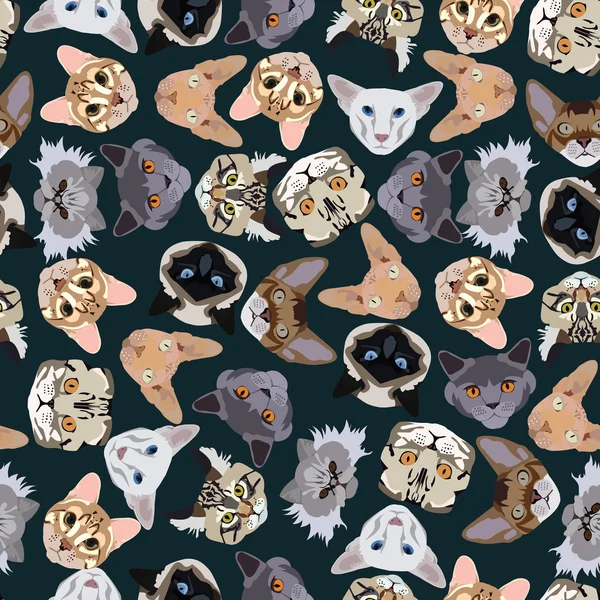 Flat dark seamless pattern pedigree cats — Stockvector