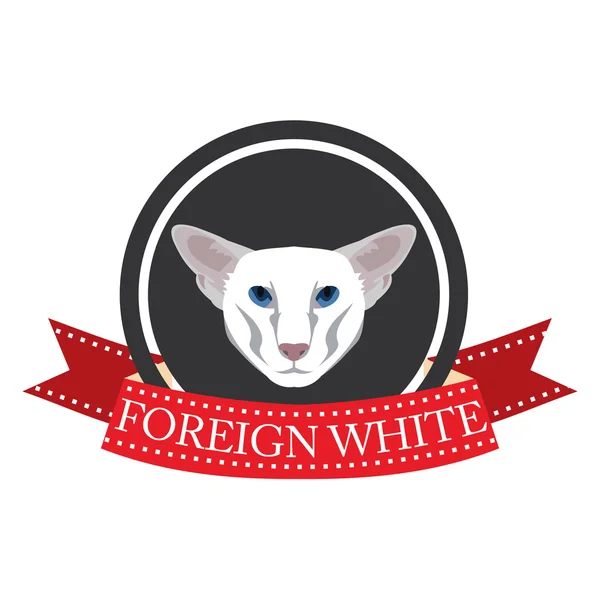 Platte pictogram pedigreed kat buitenlandse wit — Stockvector