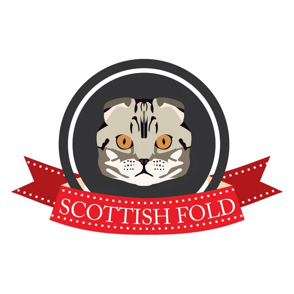 Platte pictogram pedigreed kat Schotse vouwen — Stockvector