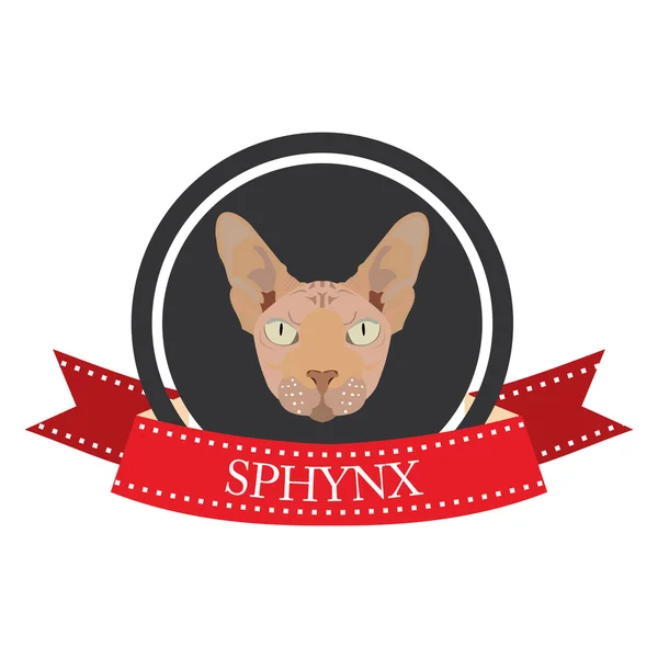 플랫 아이콘 혈통이 분명 한 고양이 sphynx — 스톡 벡터