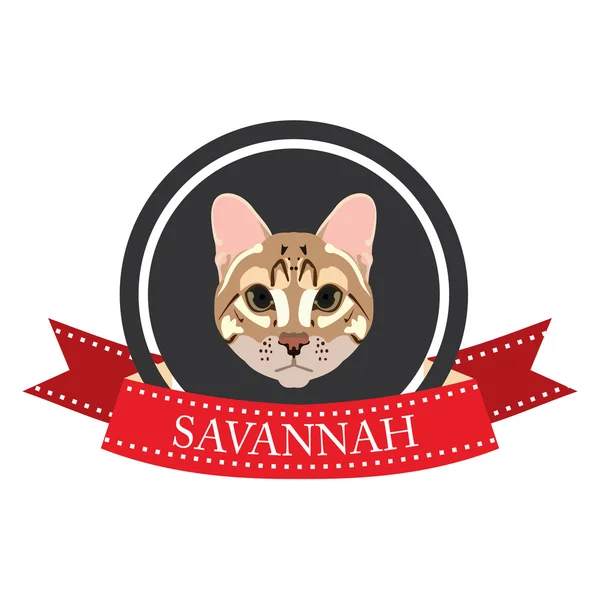 플랫 아이콘 혈통이 분명 한 고양이 사바나 — 스톡 벡터