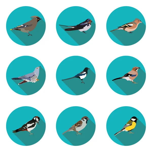 Plat pictogrammen vogels — Stockvector