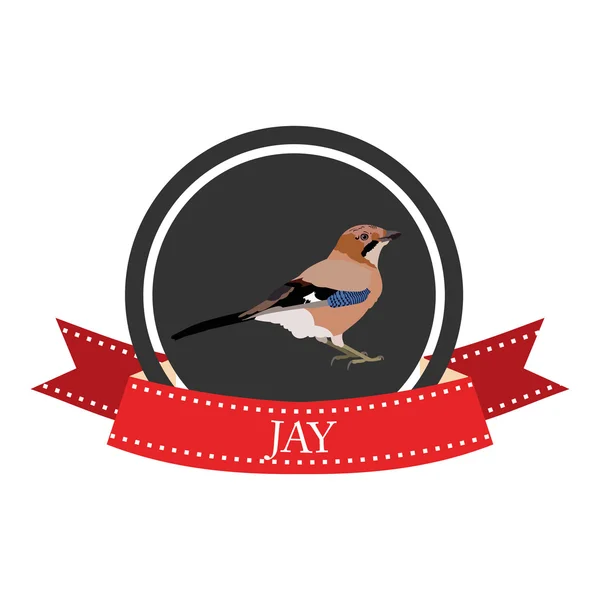 Platte pictogram jay — Stockvector
