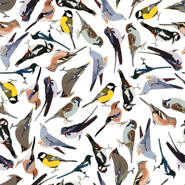 Naadloze patroon vogels — Stockvector