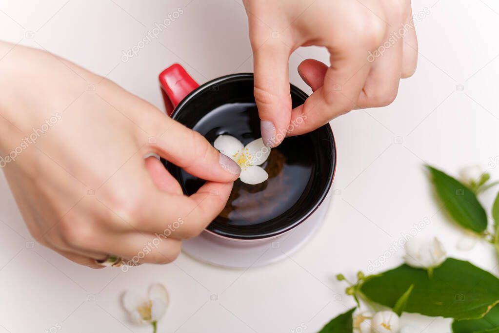 Female hands putting jasmine flower in cup of tea. Some flowers on white table background. Healthy beverages, spring blossom concept. 