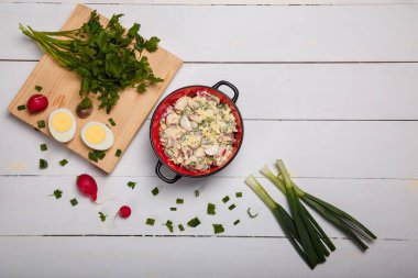 Turp, yeşil soğan, maydanoz, kırmızı kasede yumurta salatası beyaz arka planda mutfak doğrama tahtası. Sağlıklı yeme alışkanlıkları, organik yiyecekler, diyet, beslenme konsepti. Üst görünüm, alanı kopyala.