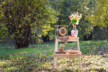 Dekoratif elementler sonbahar kompozisyonu. Kaliteli kahverengi saati olan ahşap zımbırtı, yapay çiçekli vazo, tahta oyuncak mantar, çalılık arka plandaki sonbahar parkında soğan. Hasat ve sonbahar konsepti.