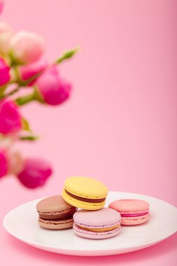 Beyaz tabakta renkli kurabiyeler, pembe arka plan, çiçekler. Anneler günü, kadınlar günü, sevgililer günü, doğum günü, bahar, Paskalya. Uzayı kopyala, dikey