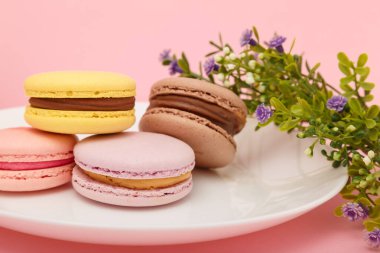 Pembe arka planda çiçekli bir tabak kurabiye. Şişede iç. Tatlı pasta, fırın ürünleri, tatlılar, tatlı..