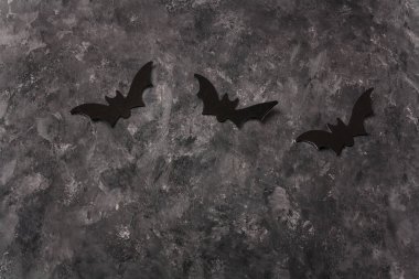 Gri arka planda korkunç Cadılar Bayramı siyah uçan yarasa etiketi. Cadılar Bayramınız kutlu olsun. Üç yarasa çerçeveli bayram kartı, kopyalama alanı.