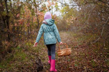 Pembe reçine çizmeli küçük kız sonbahar ormanlarında kedi yavrusuyla birlikte yürüyor.