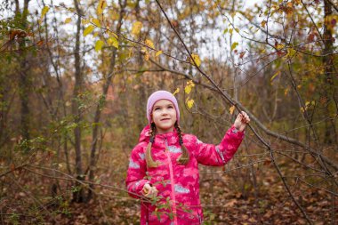 Pembe ceketli ve örgü şapkalı küçük kız ormandaki kırmızı sonbahar yapraklarına dokunuyor.
