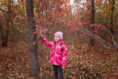Pembe ceketli ve örgü şapkalı küçük kız ormandaki kırmızı sonbahar yapraklarına dokunuyor.