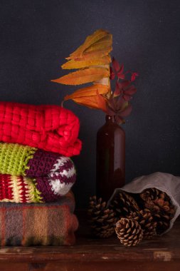 Parlak örülü ekose, kazak, kuru yapraklı kahverengi vazo ve koyu gri arka planda çam kozalakları. Sonbahar kompozisyonu, hygge konsepti