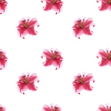 seamless pattern of pink tiger lily flowers, hand drawn watercolor illustration element isolated on white background