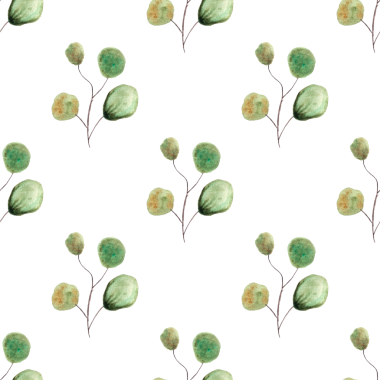 Beyaz arkaplanda yeşil okaliptüs suluboya yaprakları, el çizimi