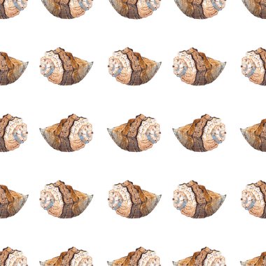 Beyaz arka planda, el boyası, suluboya deniz kabuğu resimlerinin kusursuz deseni.