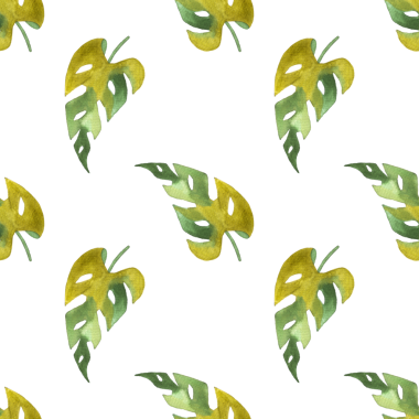 Monstera ve philodendron suluboya yapraklarının kusursuz deseni beyaz arkaplana çizilmiş.