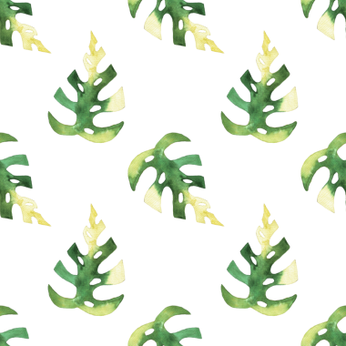 Monstera ve philodendron suluboya yapraklarının kusursuz deseni beyaz arkaplana çizilmiş.