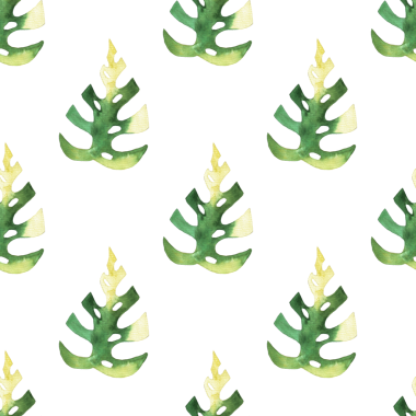 Monstera ve philodendron suluboya yapraklarının kusursuz deseni beyaz arkaplana çizilmiş.