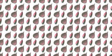 Beyaz arkaplana çizilmiş kusursuz suluboya incir deseni