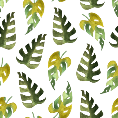 Monstera ve philodendron suluboya yapraklarının kusursuz deseni beyaz arkaplana çizilmiş.