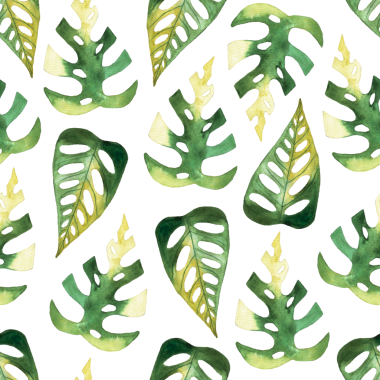 Monstera ve philodendron suluboya yapraklarının kusursuz deseni beyaz arkaplana çizilmiş.