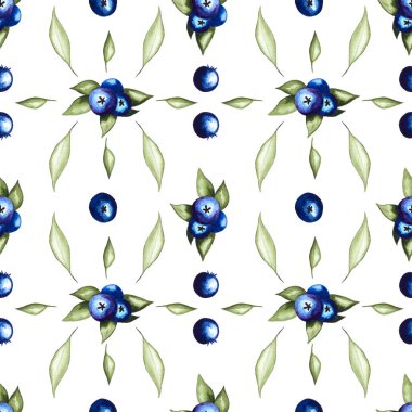 Böğürtlenlerin pürüzsüz deseni suluboya elle boyanmış elementler beyaz arka planda