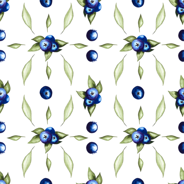 Böğürtlenlerin pürüzsüz deseni suluboya elle boyanmış elementler beyaz arka planda