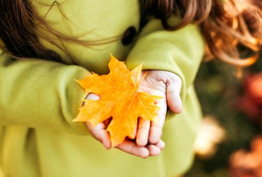 çocukların ellerinde portakal yaprağı