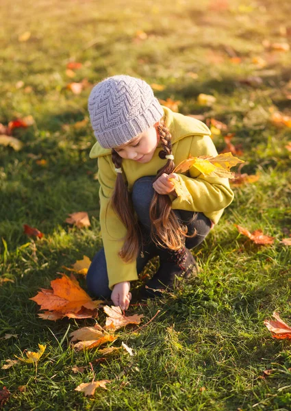 little girl collects autumn leaves in the park