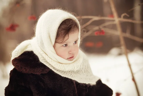 Маленькая Девочка Ходит Природе Зимой Зимняя Одежда — стоковое фото