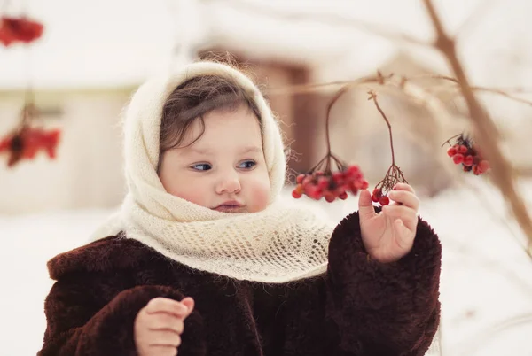 Маленькая Девочка Шубе Шарф Зимой Природе Смотрит Ягоды Рябины Зимняя — стоковое фото