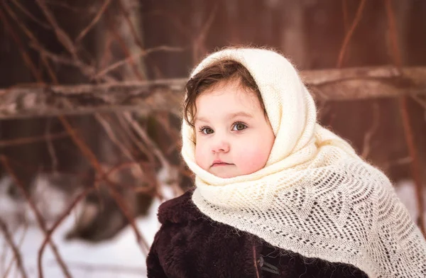 Küçük Kız Kışın Doğada Yürür Kış Giysileri Telifsiz Stok Fotoğraflar