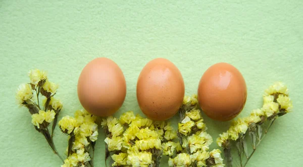 Oeufs Pâques Fleurs Jaunes Sur Fond Vert Concept Vacances Pâques — Photo