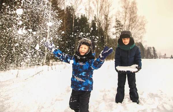 Dwóch Chłopców Bawi Się Śniegiem Parku Zimą Bracia Spacerze — Zdjęcie stockowe