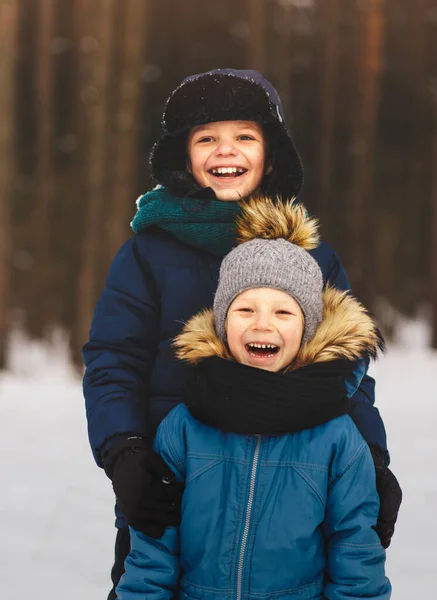 Два Брата Смеются Над Природой Зимнем Лесу — стоковое фото