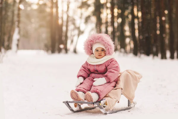 Маленькая Красивая Девочка Санях Снежном Лесу Зимой — стоковое фото