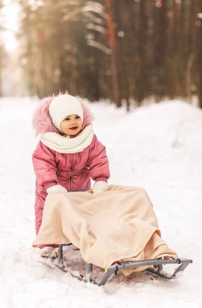 Маленькая Красивая Девочка Санями Снежном Лесу Зимой — стоковое фото