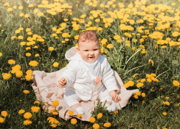 赤ん坊の女の子は晴れた日にタンポポの畑に座っています — ストック写真