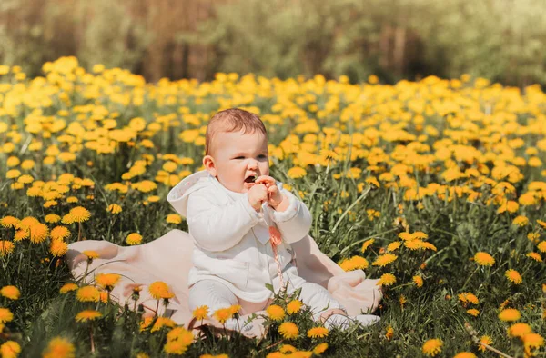 阳光灿烂的一天 女婴坐在一片蒲公英地里 — 图库照片